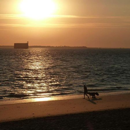 Appartement Fauvette Saint-Martin-de-Re ภายนอก รูปภาพ