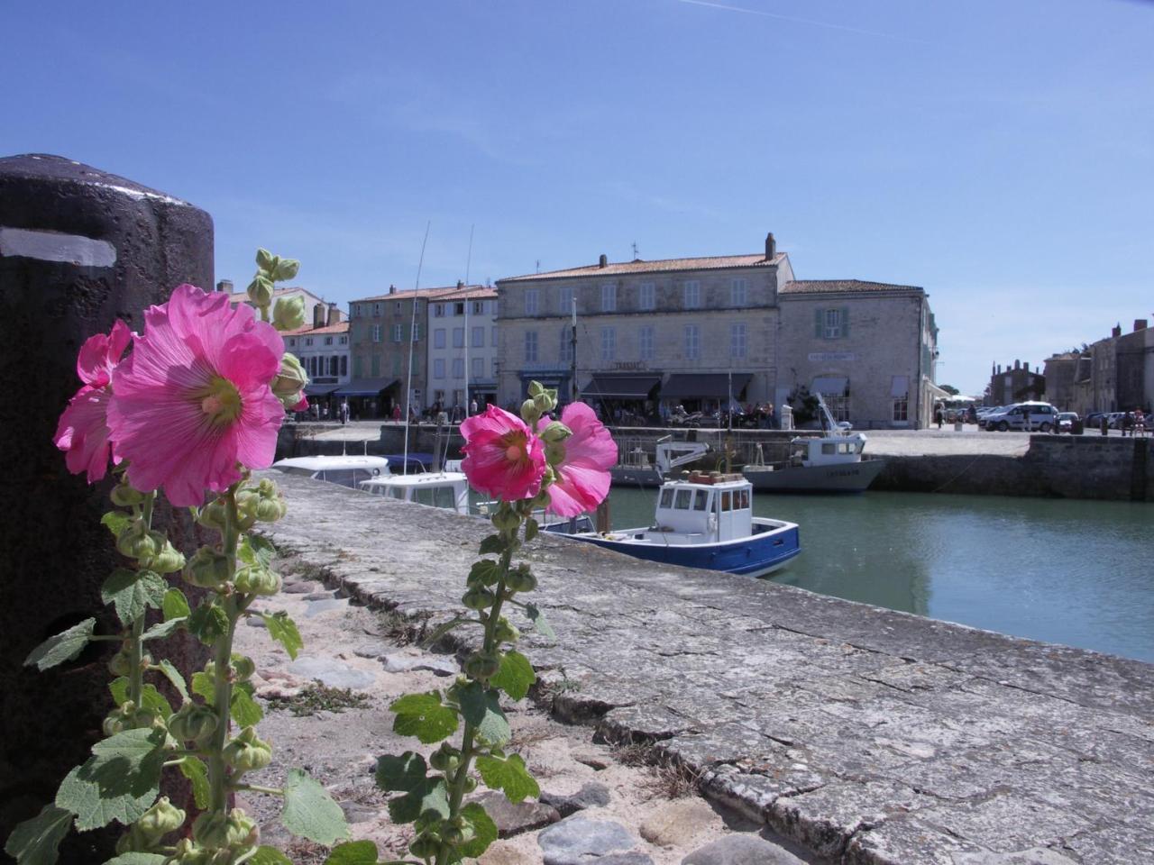 Appartement Fauvette Saint-Martin-de-Re ภายนอก รูปภาพ